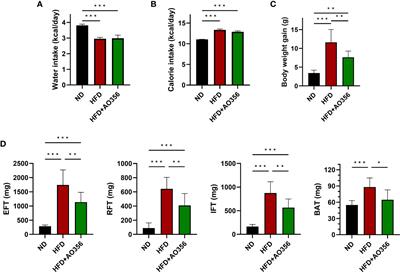 Gut microbial change after administration of Lacticaseibacillus paracasei AO356 is associated with anti-obesity in a mouse model